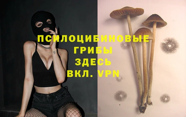 apvp Бугульма