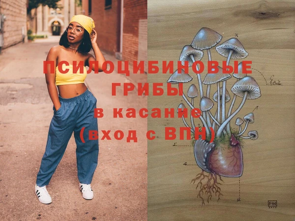 мескалин Бронницы